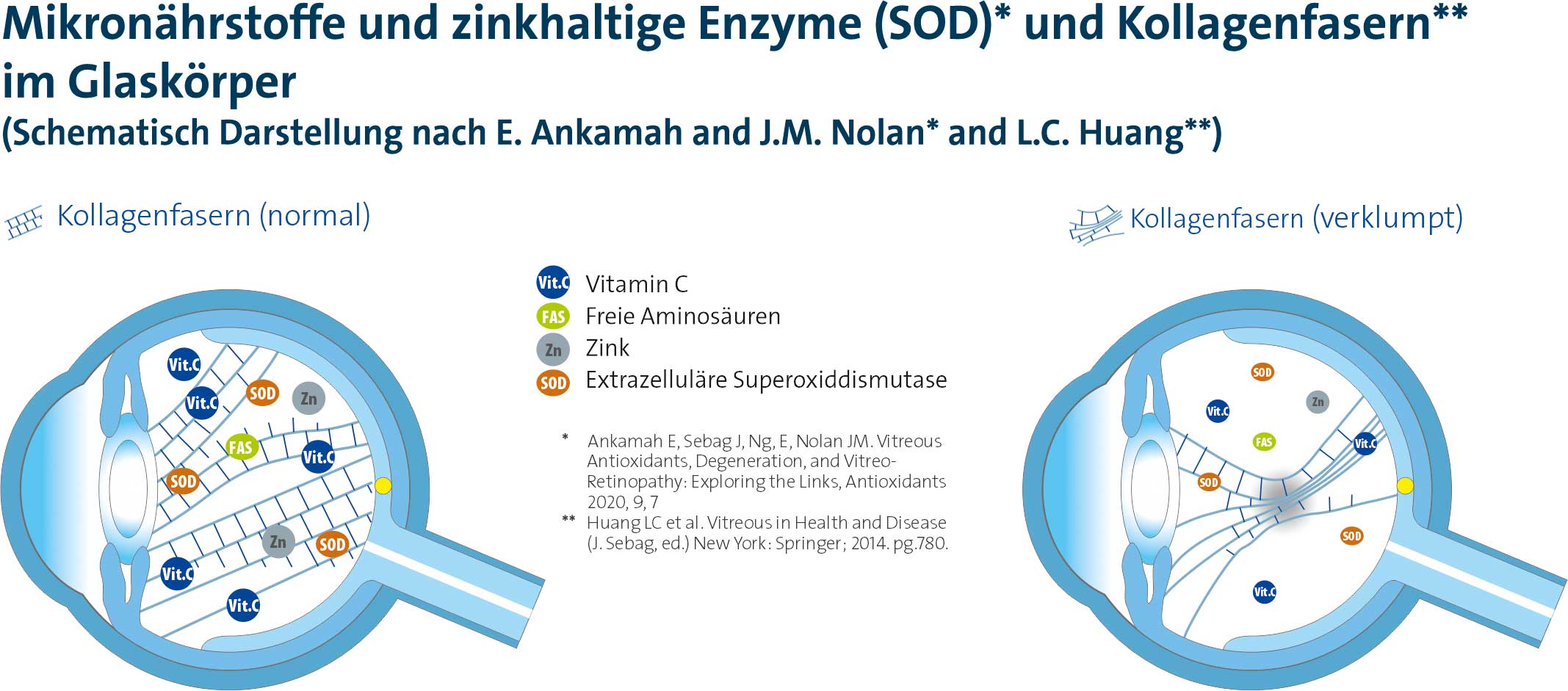 Studie belegt hohe Wirksamkeit bei Eye Floatern Nahrungsergänzung kann