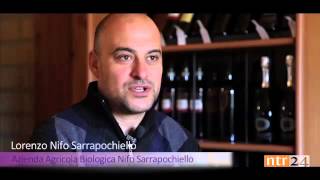 Nifo Sarrapochiello da Ntr24 : "Vini d eccellenza"