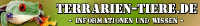 Terrarien-Tiere.de jetzt mit neuem Online-Shop