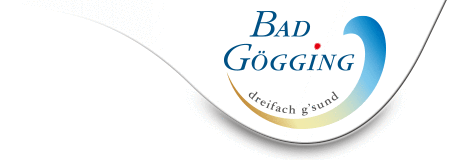 Logo der Firma Stadt Neustadt a.d.Donau - Tourist Information Bad Gögging
