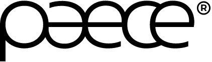 Logo der Firma paece GmbH