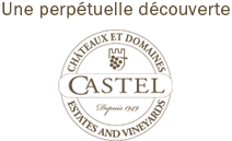 Logo der Firma Châteaux und Grands Crus von Castel