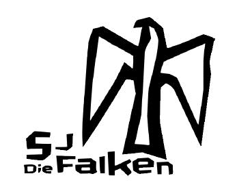 Logo der Firma Falken-Landesverband Sachsen