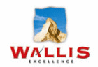 Logo der Firma Wallis Tourismus