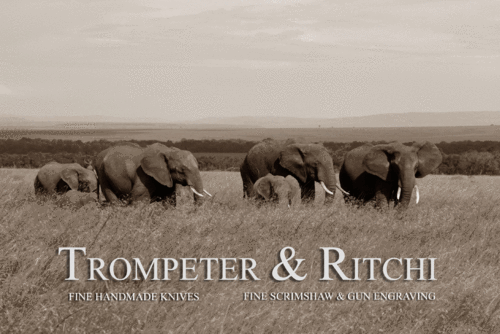 Logo der Firma Trompeter & Ritchi