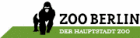 Klein und langbeinig: Zwei neue Kanincheneulen eingetroffen!