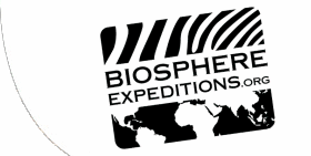 Logo der Firma Biosphere Expeditions Deutschland