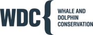 Firmenlogo WDC, Whale and Dolphin Conservation gGmbH