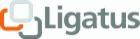 Logo der Firma Ligatus GmbH