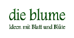 Blumen-Typologie: Welcher Muttertags-Strauß passt zu welcher Mama?