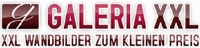Der Zeitgeschmack