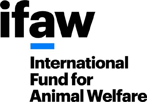 Logo der Firma IFAW - Internationaler Tierschutz-Fonds gGmbH