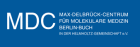 Wie Immunzellen Krebszellen zerstören - MDC-Forscher entschlüsseln Mechanismus