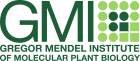 Logo der Firma GMI - Gregor Mendel Institute of Molecular Plant Biology GmbH