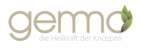 Gemmotherapie - die Knospenernte beginnt
