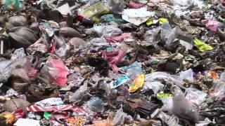 Effect on climate change through pollution in Sri Lanka