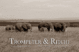 Firmenlogo Trompeter & Ritchi