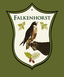 Logo der Firma Falkenhorst GmbH