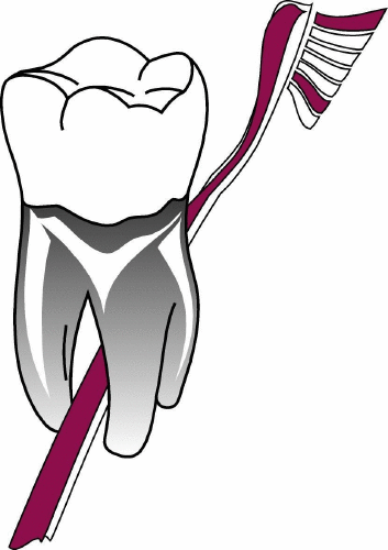 Logo der Firma Praxis für Ästhetische Zahnheilkunde und Prophylaxe / Dr. med. dent. Mathias Fötzsch