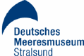 Unterwasserbilder von Werner Fiedler zeigen "Marine Sonderlinge"