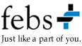 Logo der Firma febs Consulting GmbH