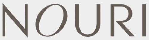 Logo der Firma Nouri GmbH