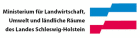 Anhaltend hohe Brandgefahr in Wäldern und auf Flächen in Schleswig-Holstein trotz Niederschlägen