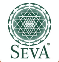 Logo der Firma Internationale Akademie für Ayurveda und Yoga UG