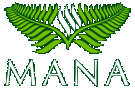 Logo der Firma Mana Verlag