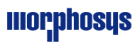 MorphoSys kündigt Präsentation klinischer Daten des firmeneigenen Wirkstoffkandidaten MOR208 zur Behandlung von Blutkrebs auf der Jahrestagung der American Society of Hematology 2017 an