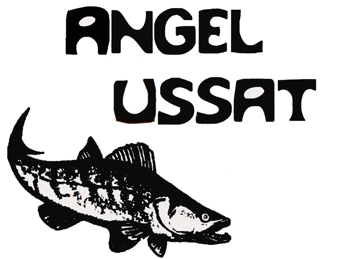 Logo der Firma Angel Ussat