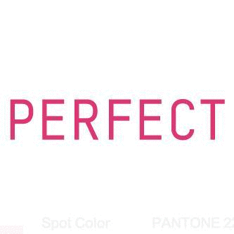 Logo der Firma Perfect Corp. USA