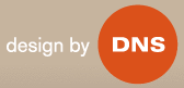 Logo der Firma DNS Stuttgart