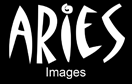 Logo der Firma ARIES IMAGES