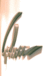 Firmenlogo A. Gohm GmbH