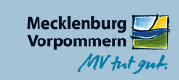 Forstämter der Landesforst laden am 9. Mai zur "Waldolympiade" ein