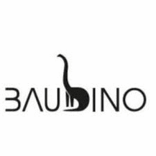Logo der Firma Baudino