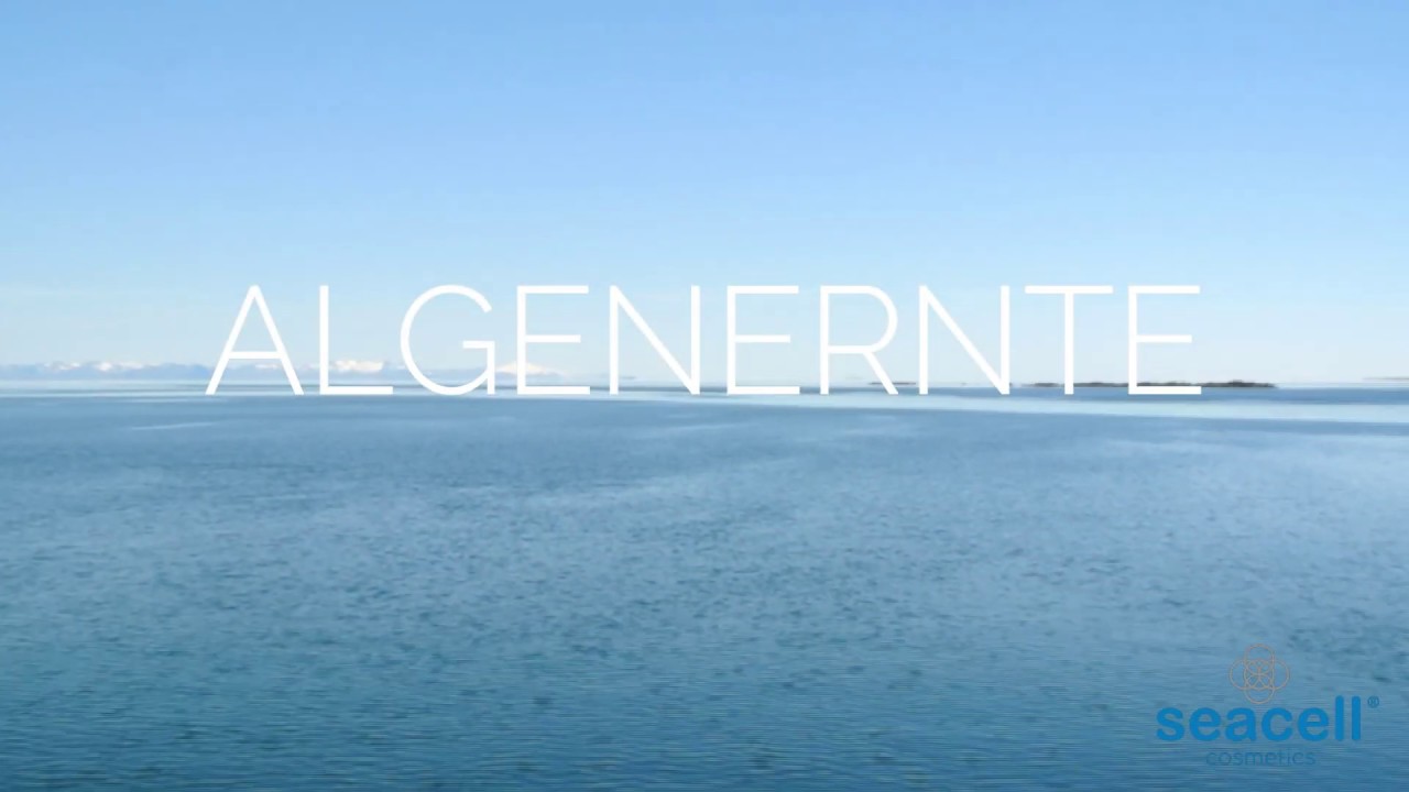 Island ist für seine spektakuläre Landschaft bekannt, mit Vulkanen, Geysiren, Thermalquellen und sauberem, klaren Wasser an dünn besiedelten Küsten. Aus diesen reinen Gewässern werden die Braunalge schonend geerntet. Nur alle vier Jahre dürfen die Spitzen der Alge oberhalb der regenerativen Zone abgeschnitten werden. Die Durchführung der Ernte geschieht dabei vorsichtig und langsam: Die Alge wird in geothermalen Quellen gewaschen, mit geothermaler Energie getrocknet und anschließend gem