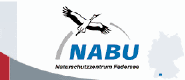 Rohrdommeln am Federsee beobachten