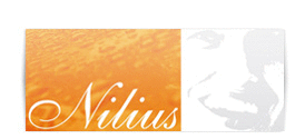Logo der Firma Praxisklinik Nilius
