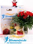 Valentinsgrüße innovativ versenden mit Blumenfee