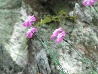 Wanderungen im Nationalpark am 30. und 31. Mai