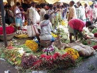 Indische Entdeckungen