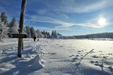 Winterwanderweg auf dem Hohen Meißner