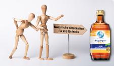 Die Faszien: Schutzhülle, Figur-Booster, Sinnesorgan im Körperinneren