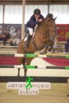 CSI1* Damme - Guests from 17 countries at the Equestrian Centre