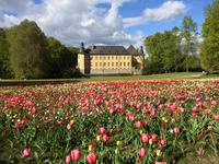 Pflanzen und mehr: Schlossfrühling in Schloss Dyck