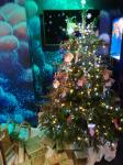 Merry Fishmas – Wünsche für die Meere 2018