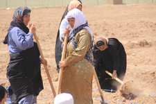 Afghanistan: Frauengarten in Herat bringt Einkommen und ein Stück Freiheit