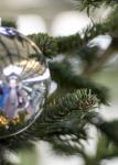 Der wirklich echte, größte Weihnachtsbaum in Dortmund steht im Depot